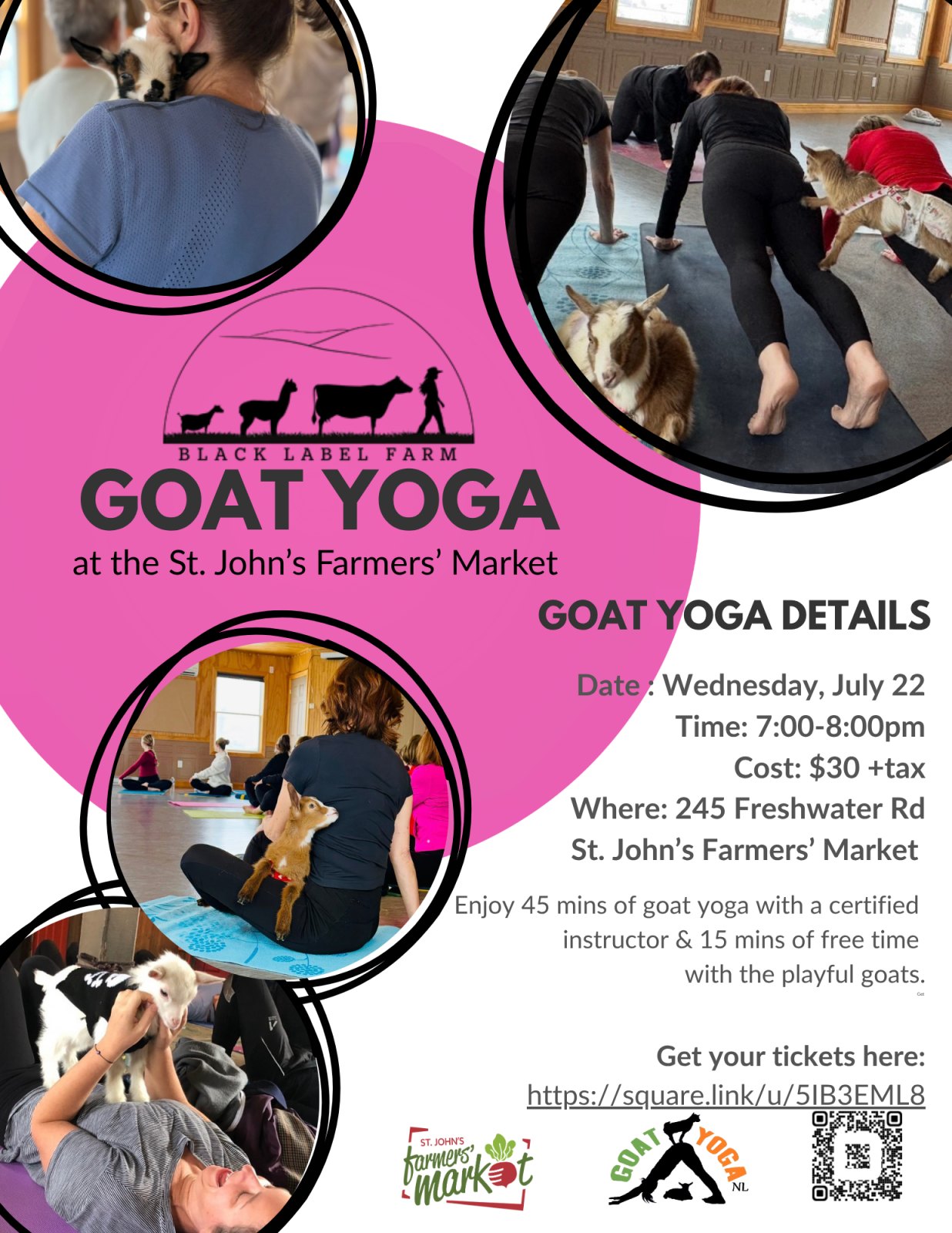 Goat Yoga